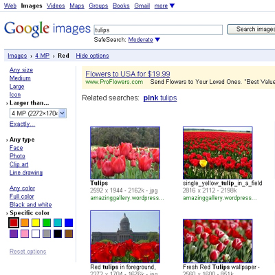 �uGoogle Images�v�������ʃy�[�W�����Ō����I�v�V�������w��ł���