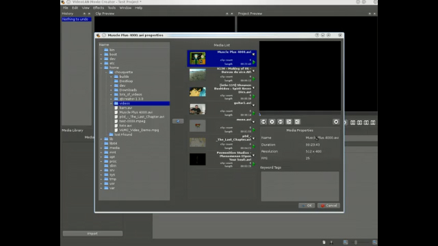 �uVideoLAN Movie Creator�v�̑���f�������YouTube�Ō��J���Ă���