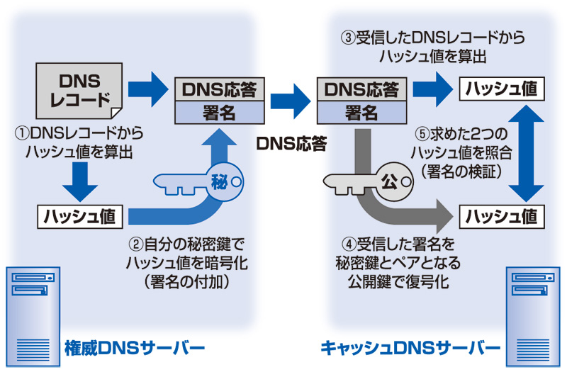 �}3�@DNSSEC�ɂ����鏐���ƌ���