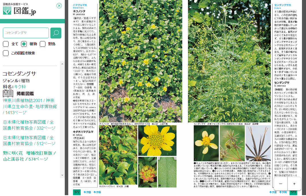 定額制で生き物図鑑が読み放題 図鑑 Jp 1月スタート 定番の図鑑や絶版 品切れの図鑑を電子書籍化 Internet Watch