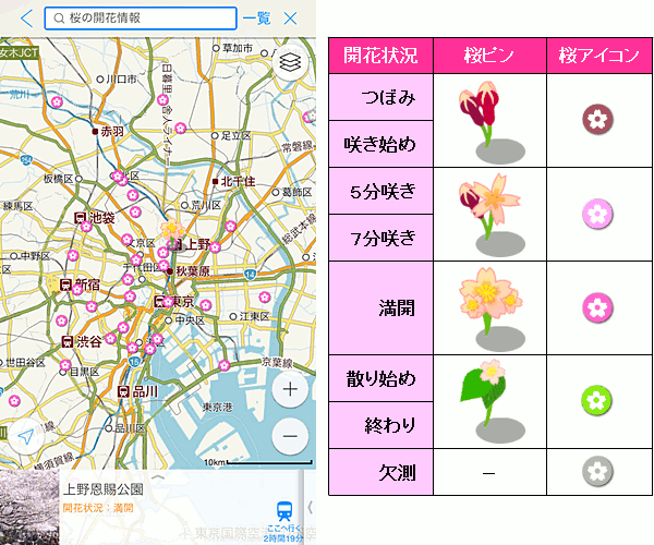 Yahoo!地図、全国のお花見スポット1058カ所の開花状況を表示、天気予報