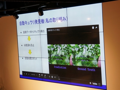 画像認識技術のお仕事ってどんなもの 農家兼エンジニアとして きゅうりの等級をaiで判定 Geekoutナイト Internet Watch
