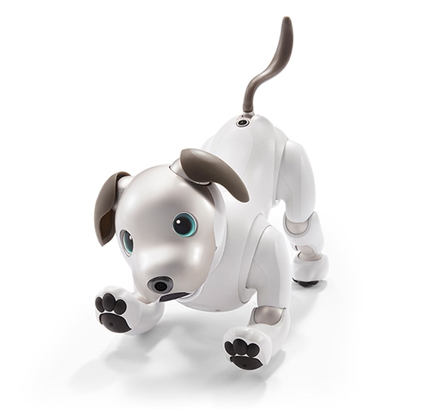 ソニーaibo 新型aiboはソニー復活の象徴【iNTERNET magazine Reboot