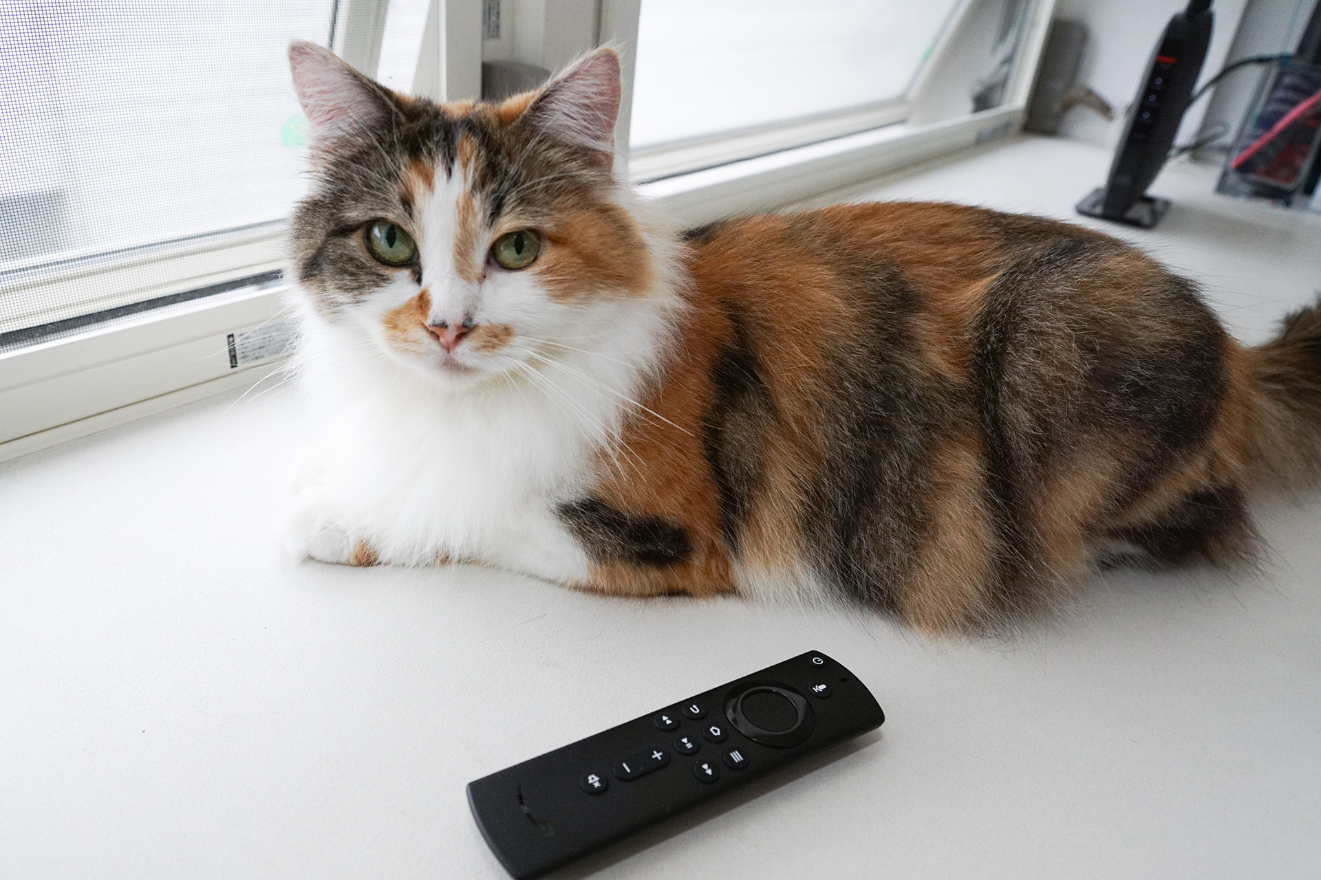 Amazon Fire Tv Stick など 指定デバイスの通信を優先させる 自宅wi Fiの わからない をスッキリ Internet Watch