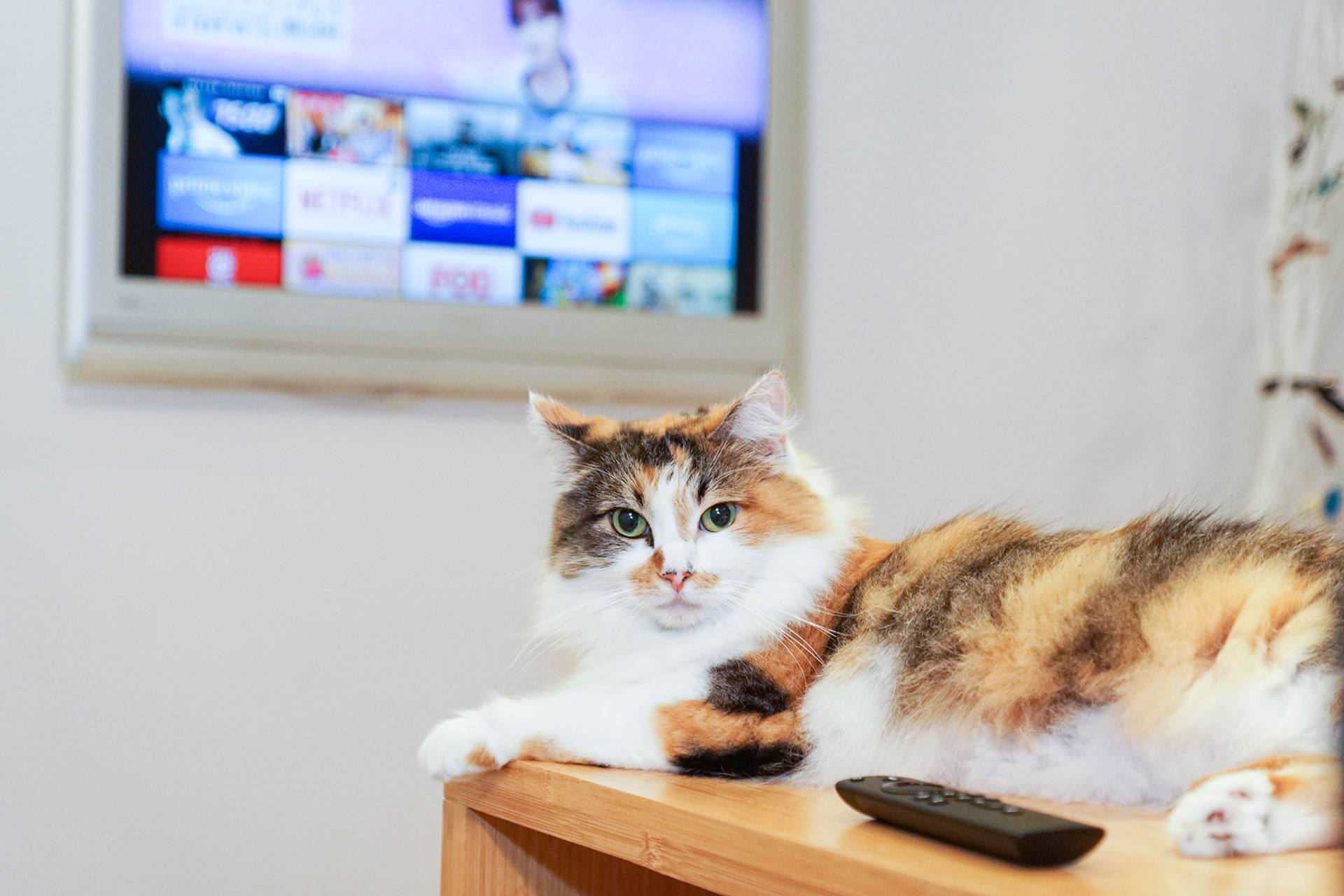 Amazon「Fire TV Stick」で4Kコンテンツを楽しめる設定編【自宅Wi-Fiの