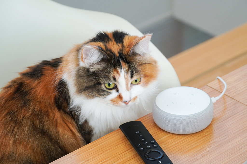 Fire TV Stickの音をテレビとEchoデバイスから同時に出力【自宅Wi-Fiの