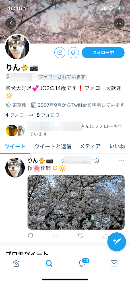 男子小学生 ちんこ Twitter 