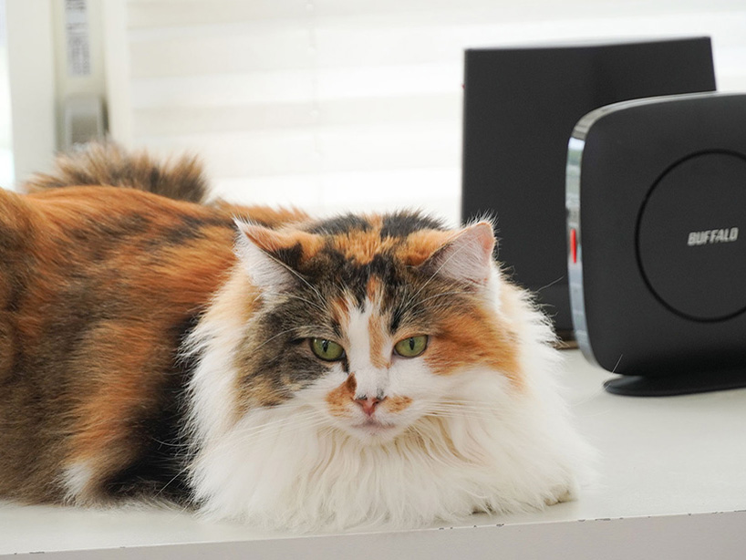 BUFFALO せま WNR5400XE62S 