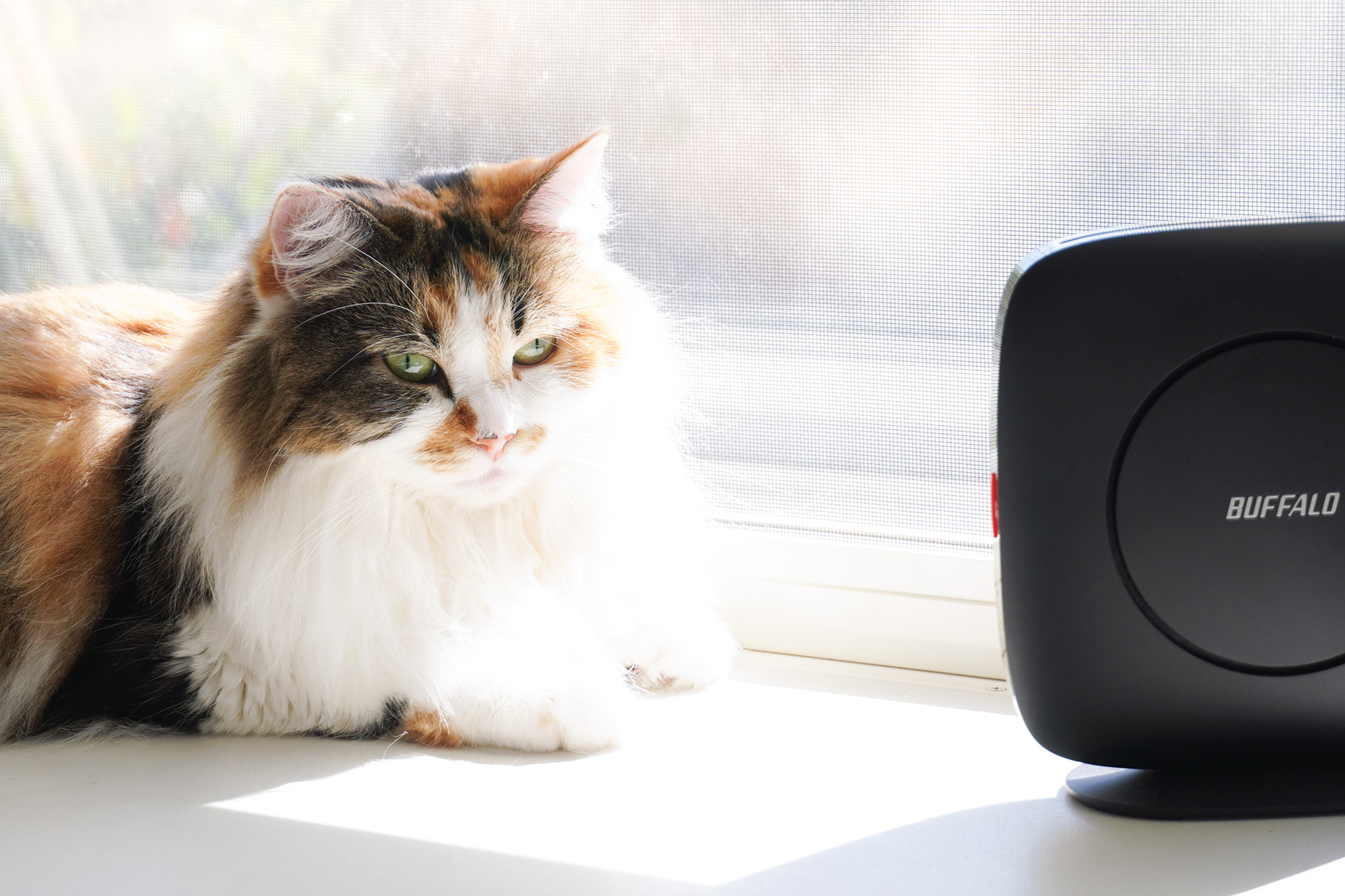 nasneをWi-Fiでつなぐ」ため、ルーターと中継機でWi-Fi EasyMeshによる