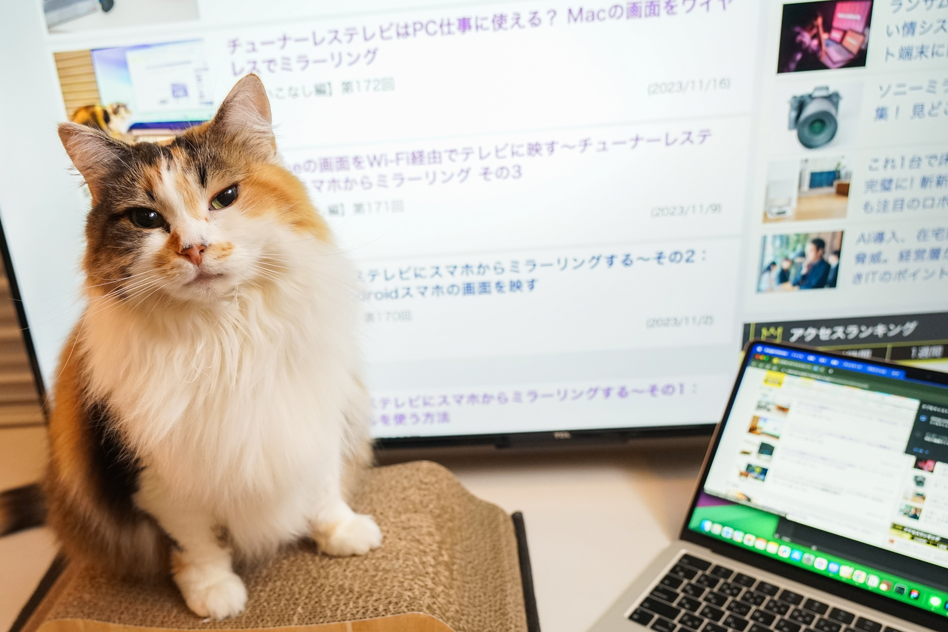 チューナーレステレビに「Google Chrome」からWindows/Macの画面を無線ミラーリング【自宅Wi-Fiの“わからない”をスッキリ！】  - INTERNET Watch