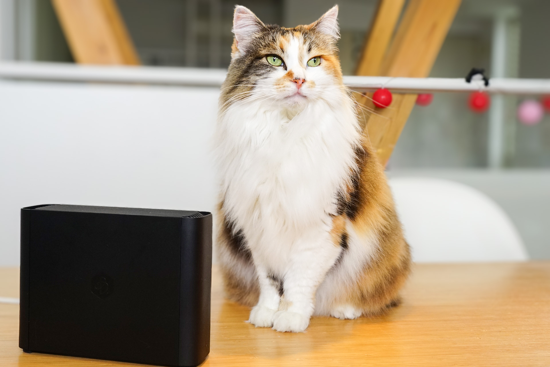 Synology「BeeStation」にPCブラウザー版「BeePhotos」から写真を