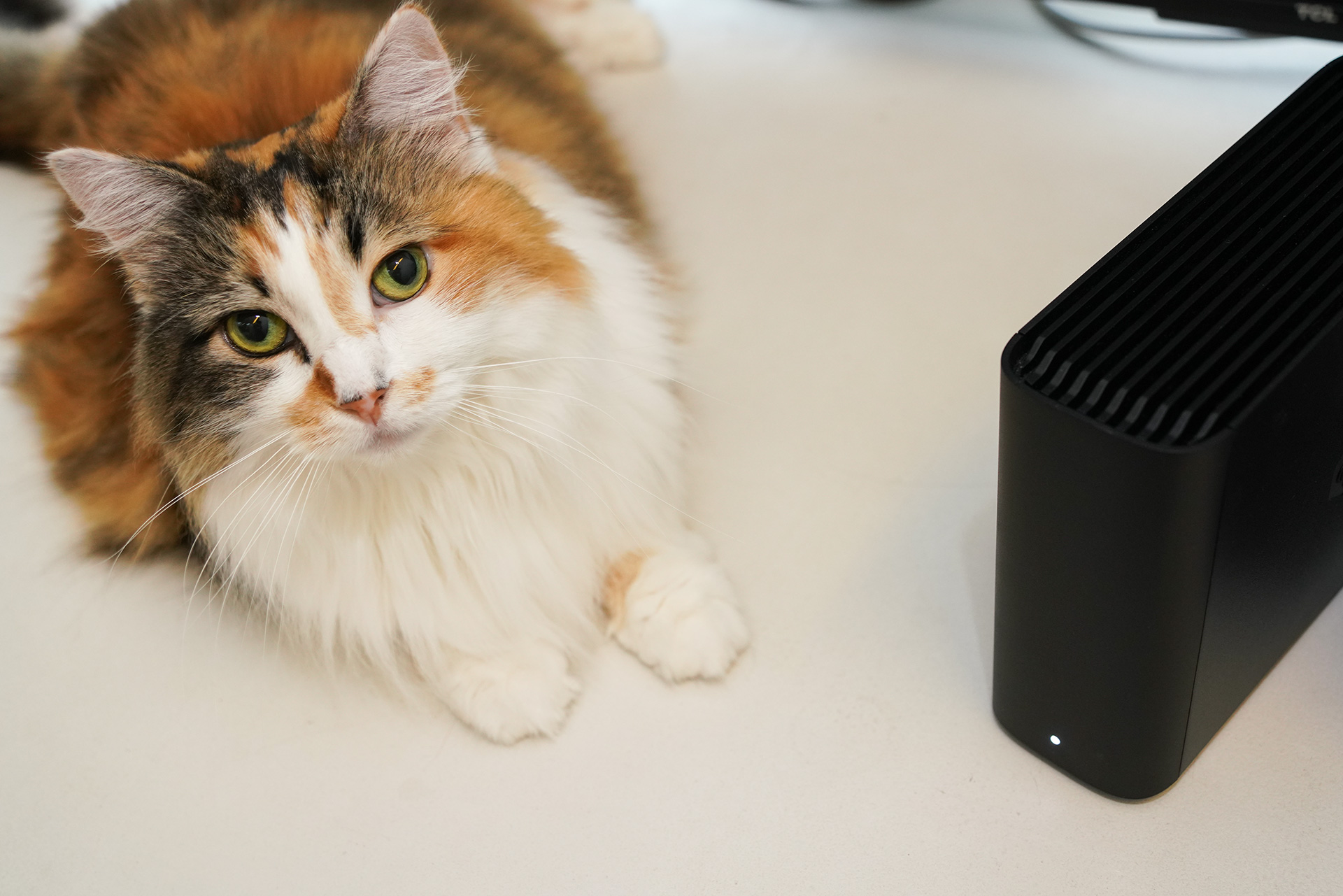 外付けハードディスク・ドライブ BeeStation Synology「BeeStation」を外付けHDDのバックアップから復元する【自宅