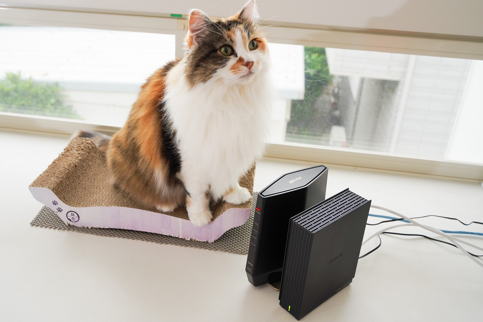 いつのまにか謎のファイルが？ アイ・オーのNAS「LANDISK」を複数のPC