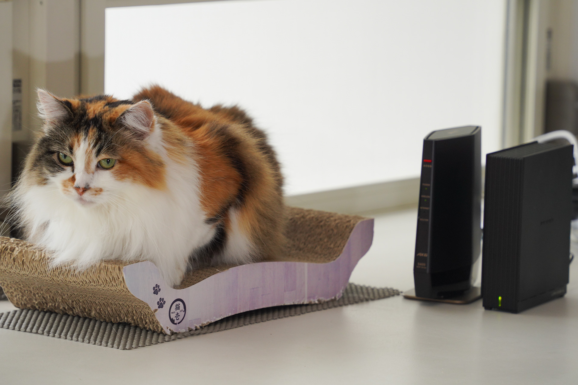 画像が削除されました