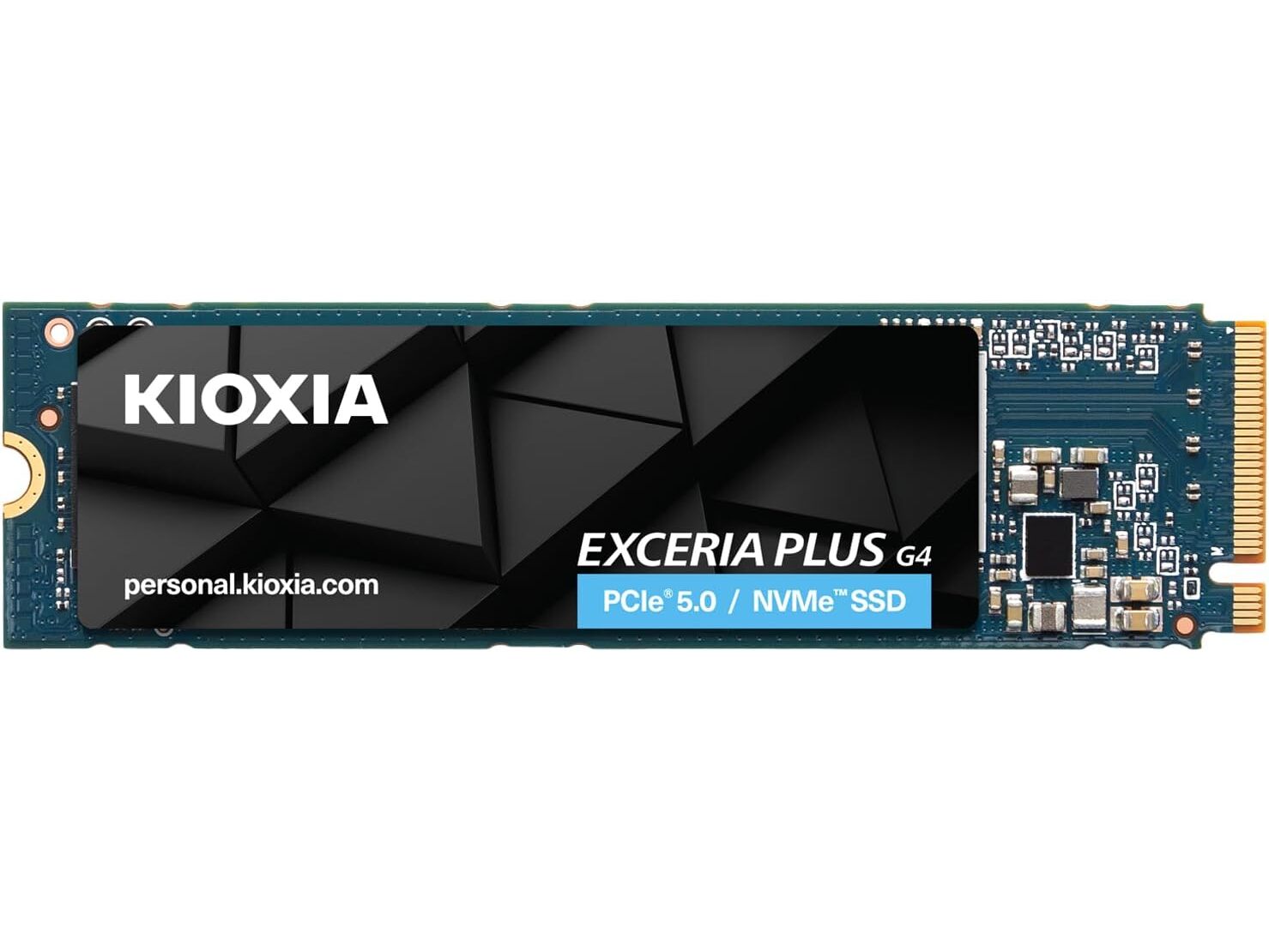 kiyominaさま専用リクエストページ 生産終了）NVMe™対応 EXCERIA PLUS G2 SSDダウンロード | KIOXIA