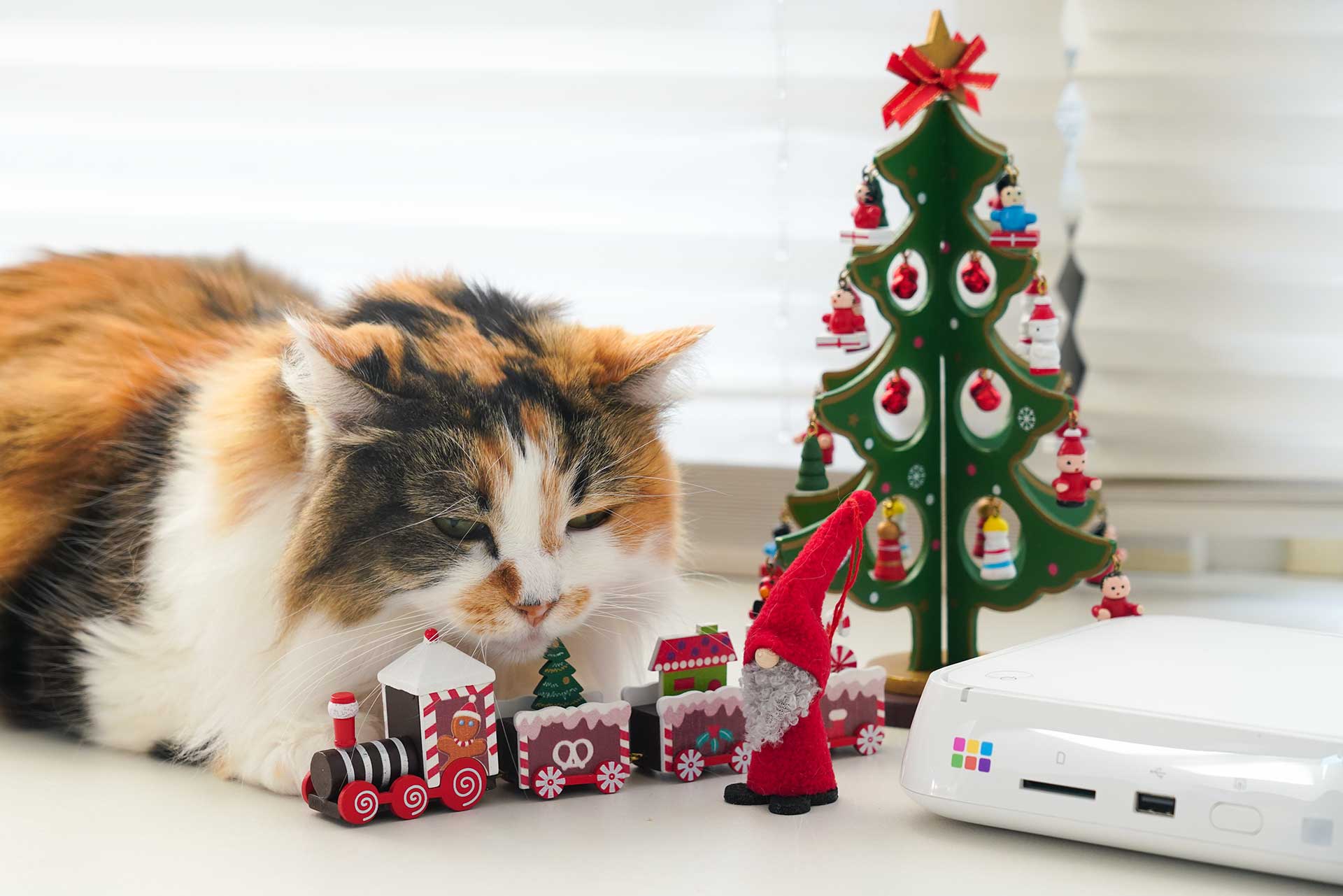 友人への共有やコンビニプリントもできる！ バッファロー「おもいでばこ」に保存した写真をUSBメモリに直接書き出す【自宅Wi-Fiの“わからない”をスッキリ！】