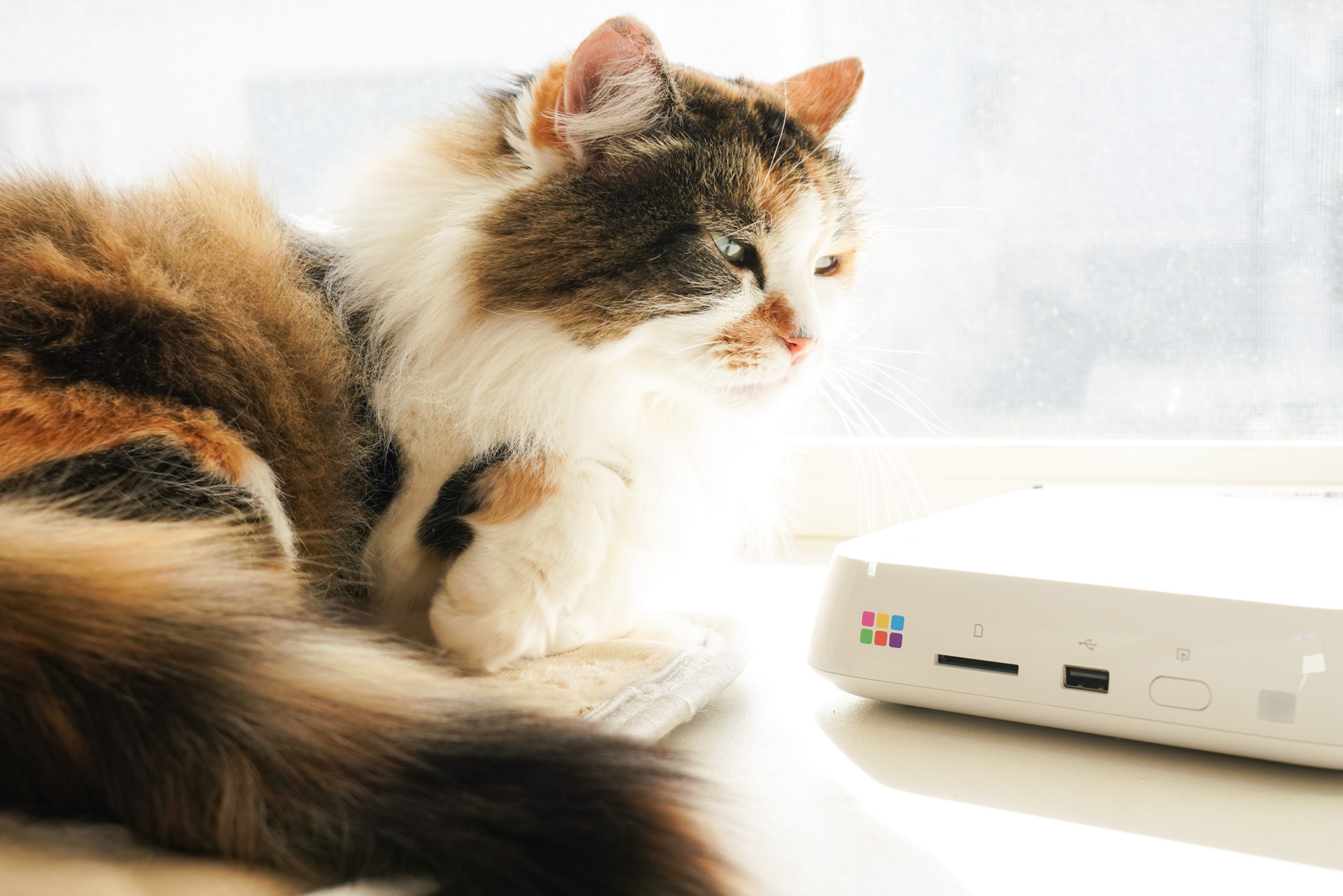 バッファロー「おもいでばこ」にバックアップした写真をスマホに書き戻す、iPhoneのLive Photosも再現可能！【自宅Wi-Fiの“わからない”をスッキリ！】