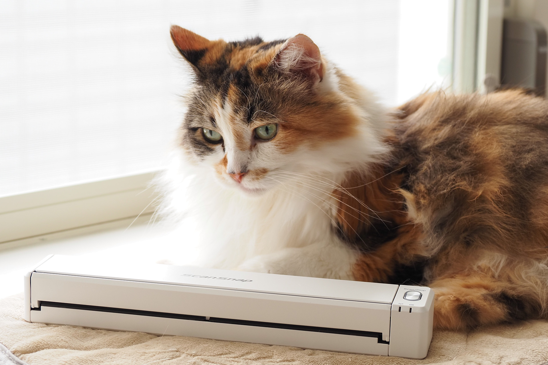 PFUのハンディ型モバイルスキャナー「ScanSnap iX110」をAIと一緒に使いこなそう【自宅Wi-Fiの“わからない”をスッキリ！】