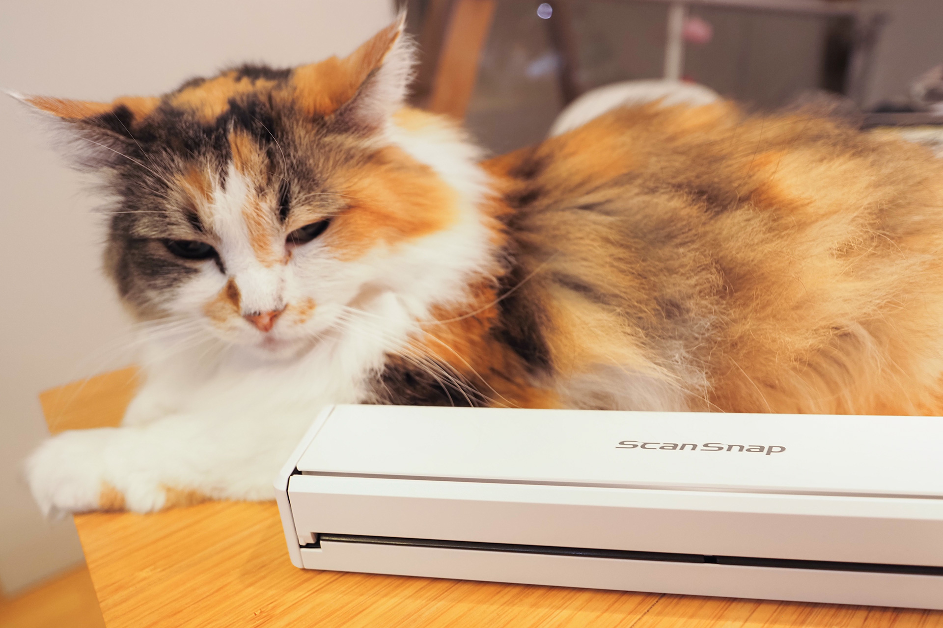 PFUのハンディ型モバイルスキャナー「ScanSnap iX110」をスマホでセットアップする【自宅Wi-Fiの“わからない”をスッキリ！】
