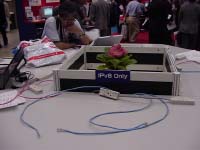 IPv6 Only
