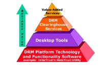 DRM System