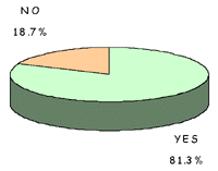 YES: 81.3%, NO: 18.7%
